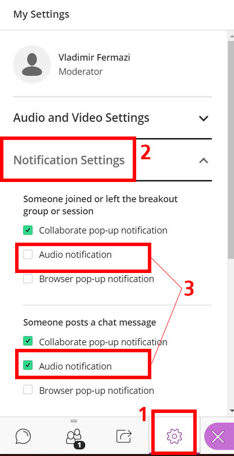 audio-notifications.JPG